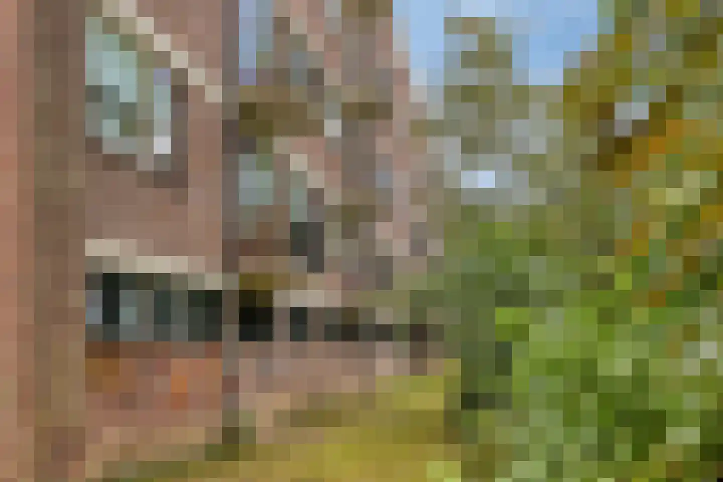 Vondelstraat 194 Doetinchem thumbnail 23