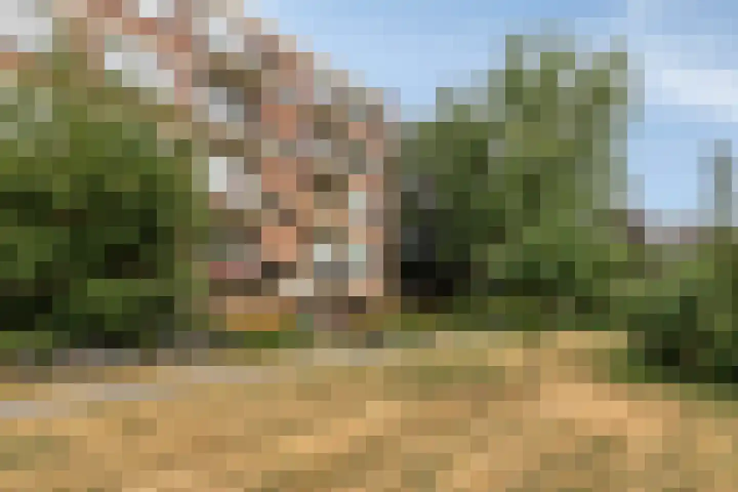 Vondelstraat 194 Doetinchem thumbnail 5