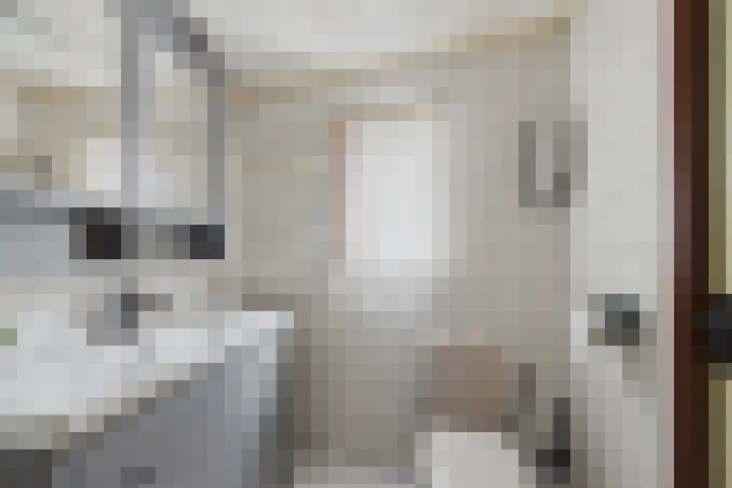 Vondelstraat 2 Hulst thumbnail 13