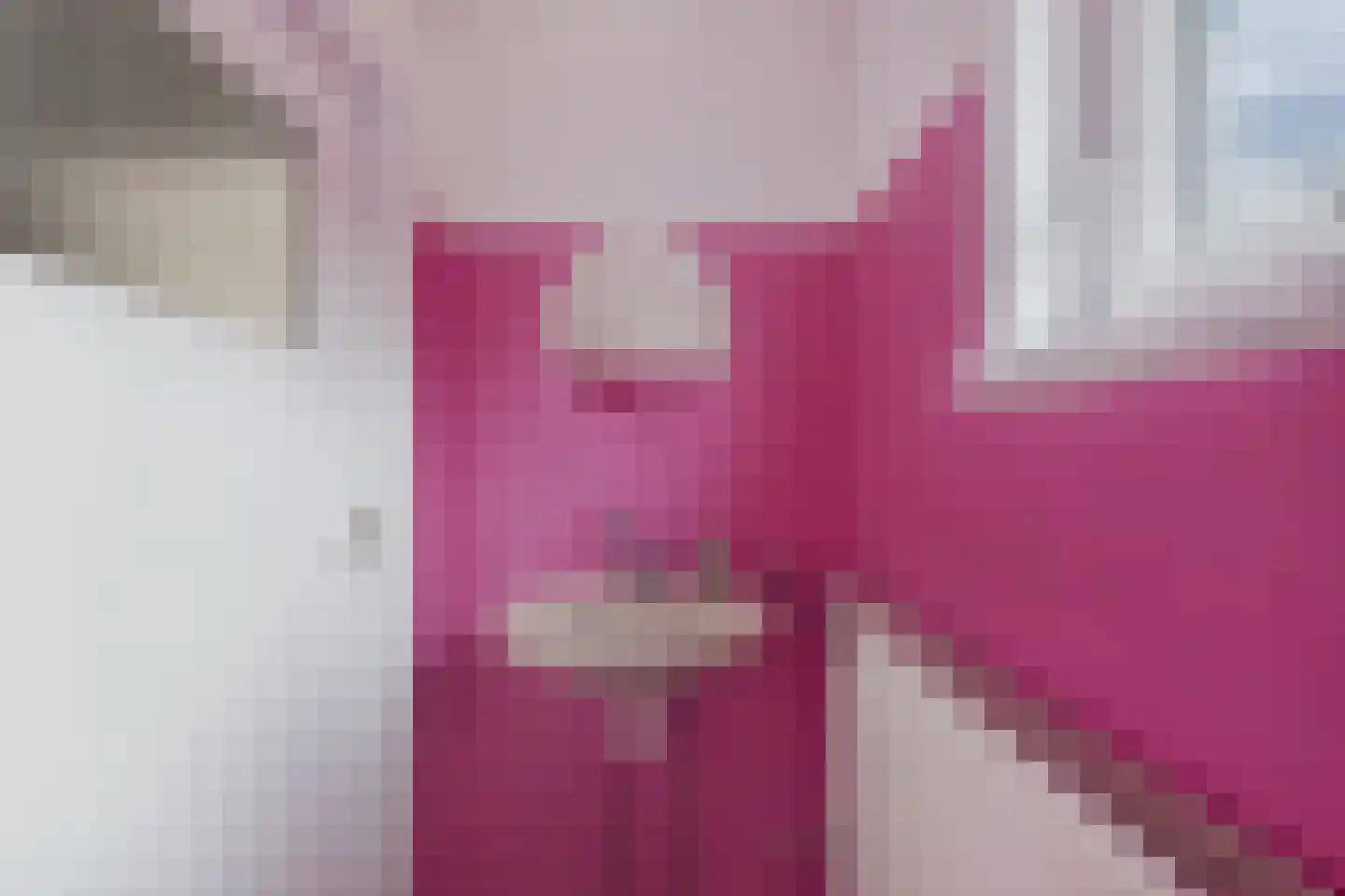 Vondelstraat 2 Hulst thumbnail 26