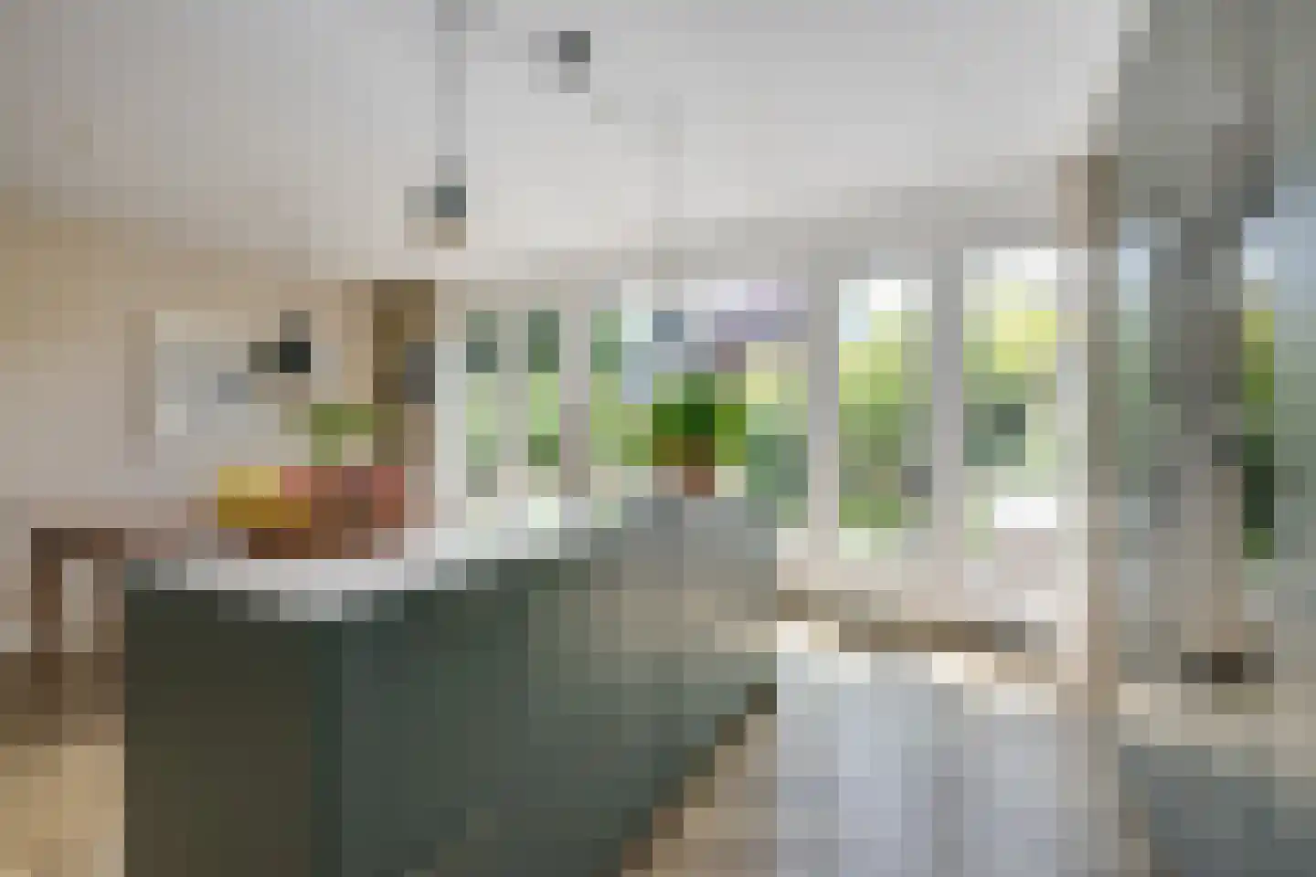 Vondelstraat 2 Voorschoten thumbnail 19