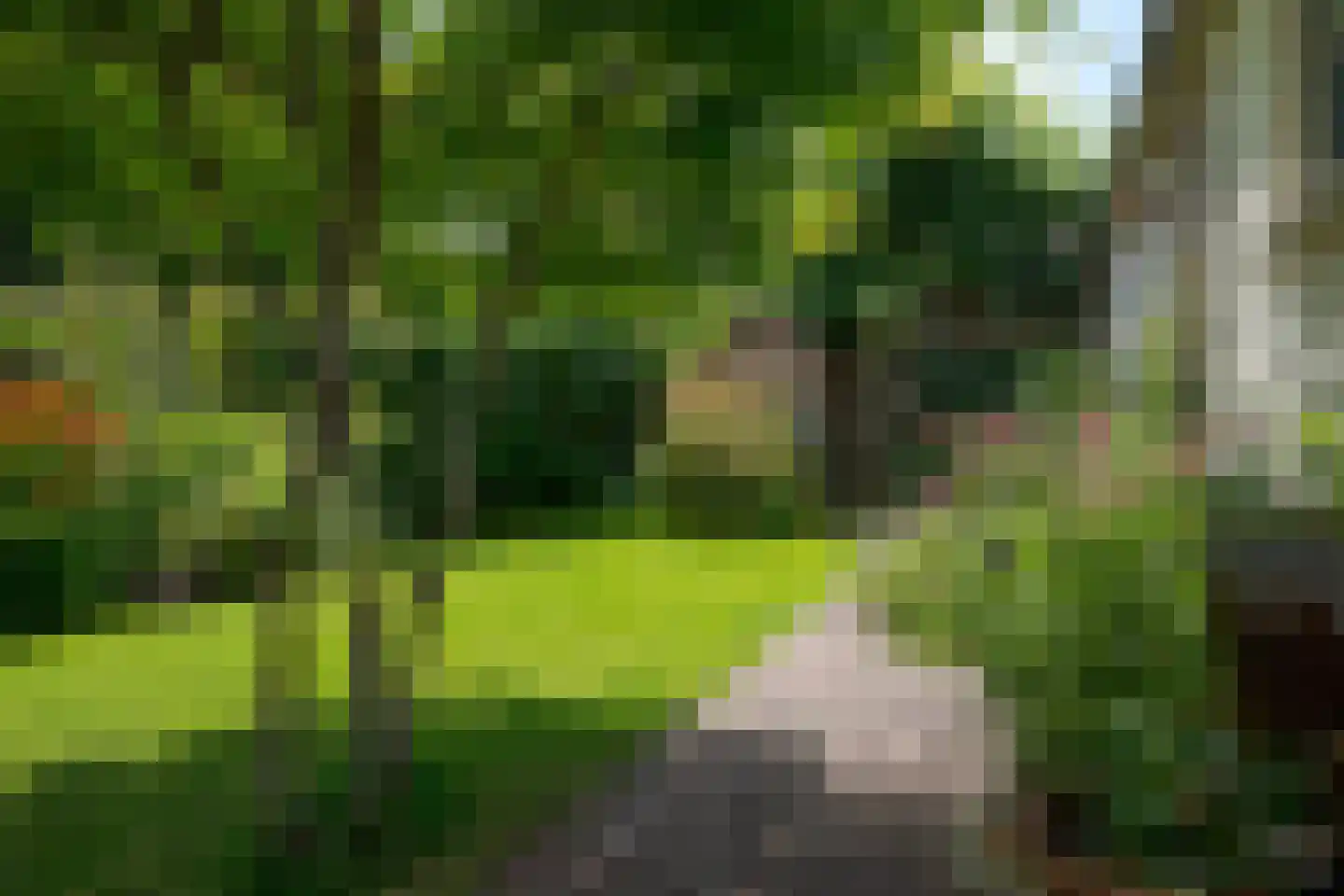 Vondelstraat 2 Voorschoten thumbnail 26