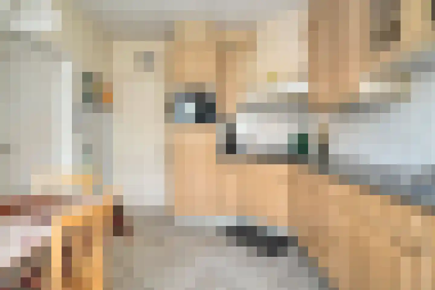 Vondelstraat 20 Nijverdal thumbnail 15