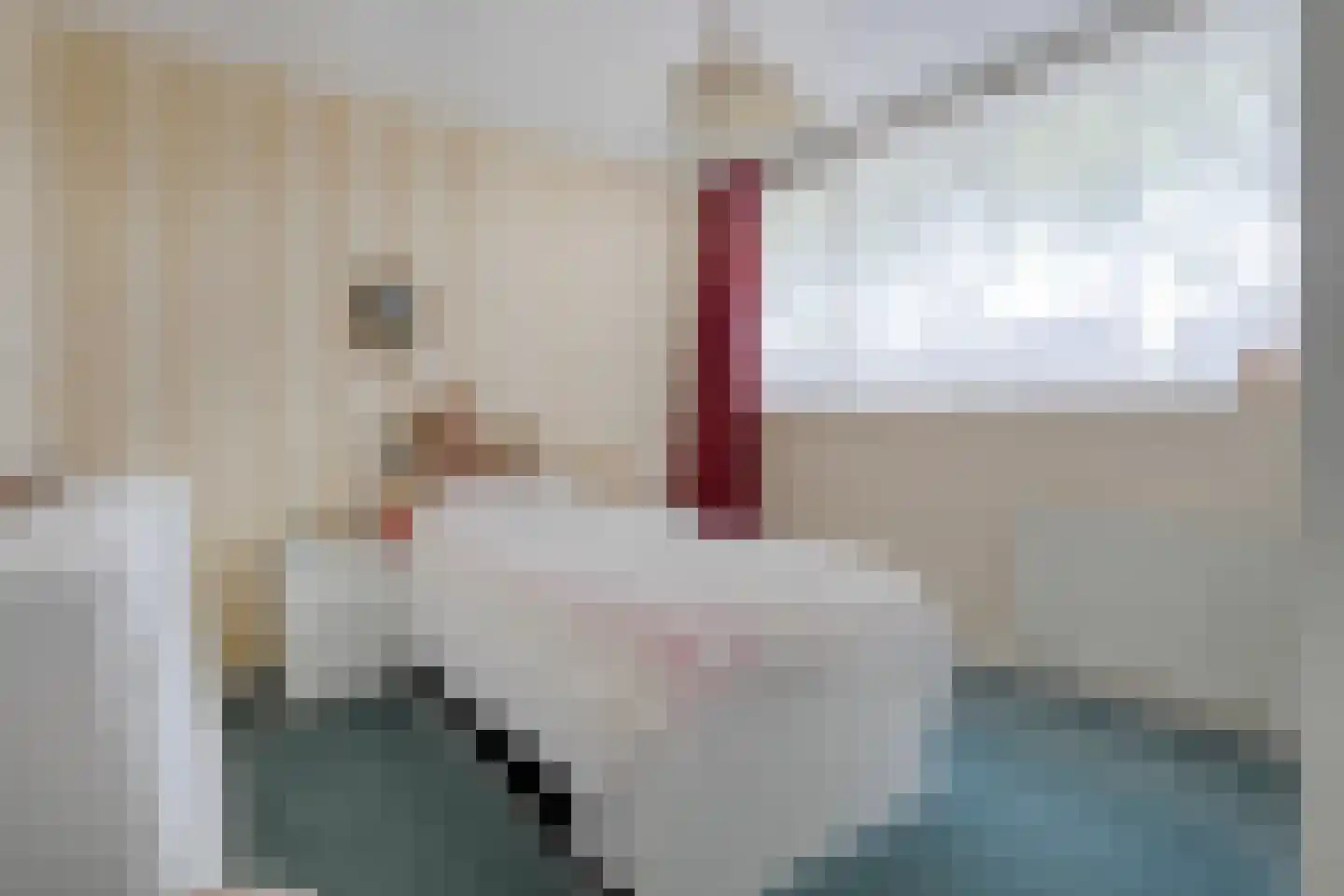 Vondelstraat 20 Nijverdal thumbnail 23