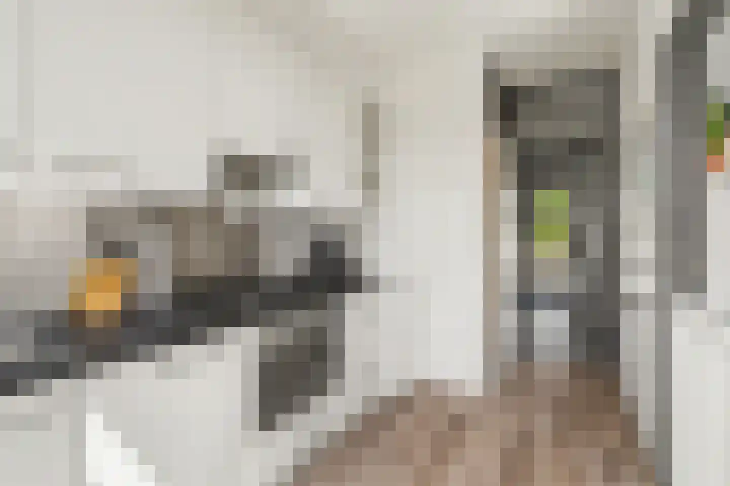 Vondelstraat 20 Vlijmen thumbnail 11