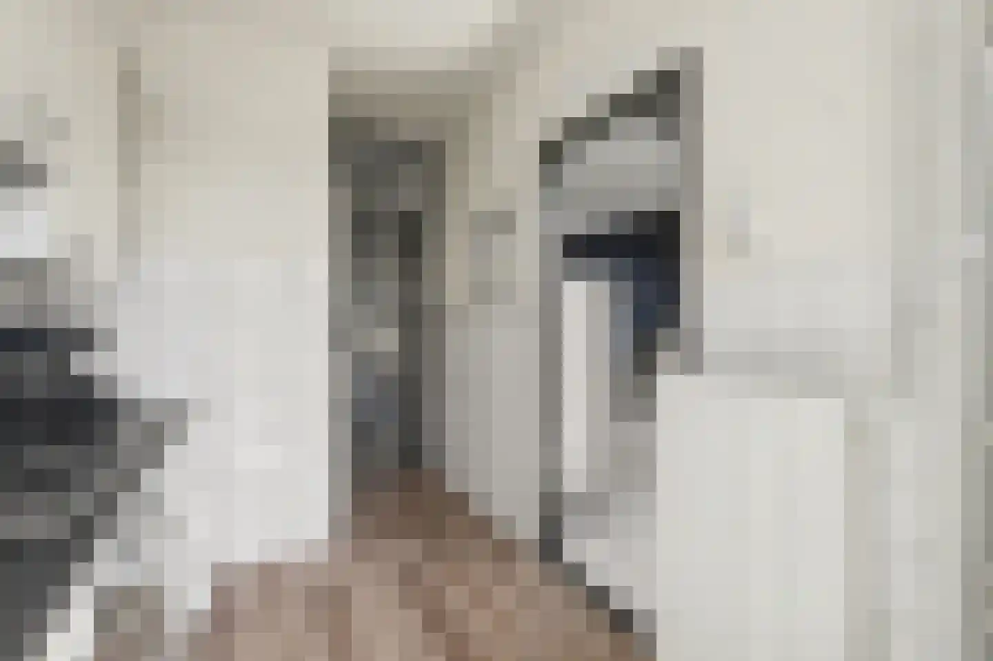 Vondelstraat 20 Vlijmen thumbnail 12