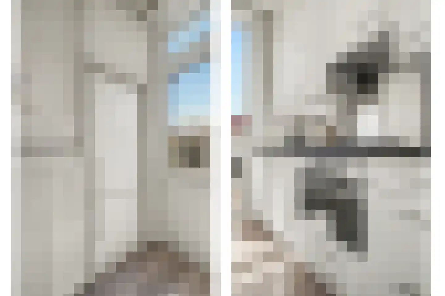 Vondelstraat 20 Vlijmen thumbnail 14