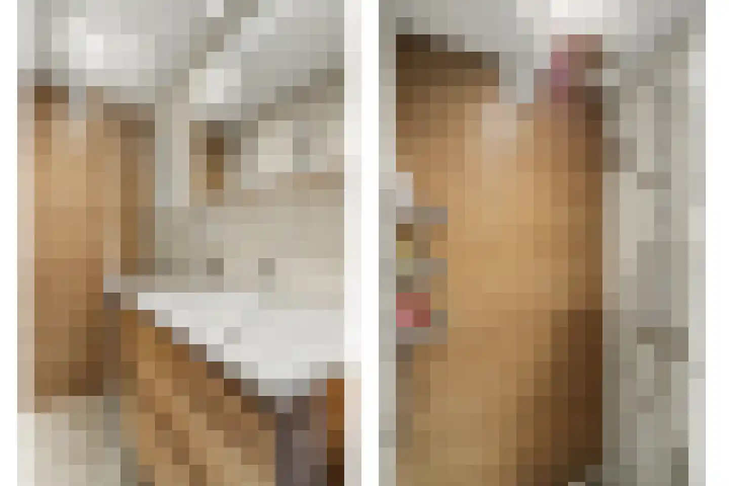 Vondelstraat 20 Vlijmen thumbnail 26