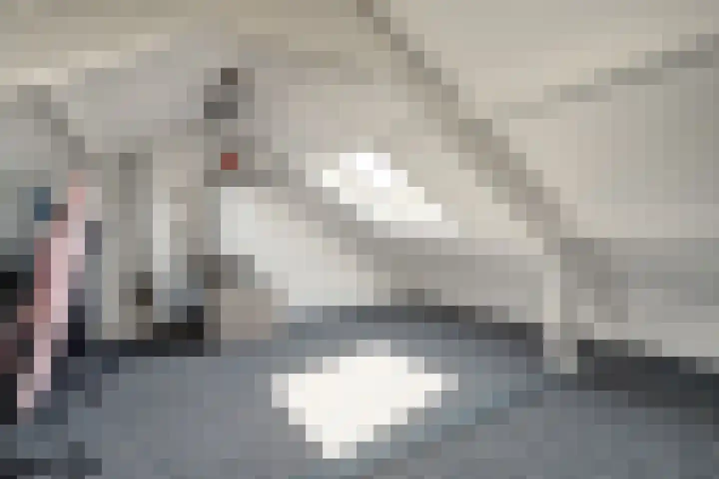 Vondelstraat 20 Vlijmen thumbnail 29