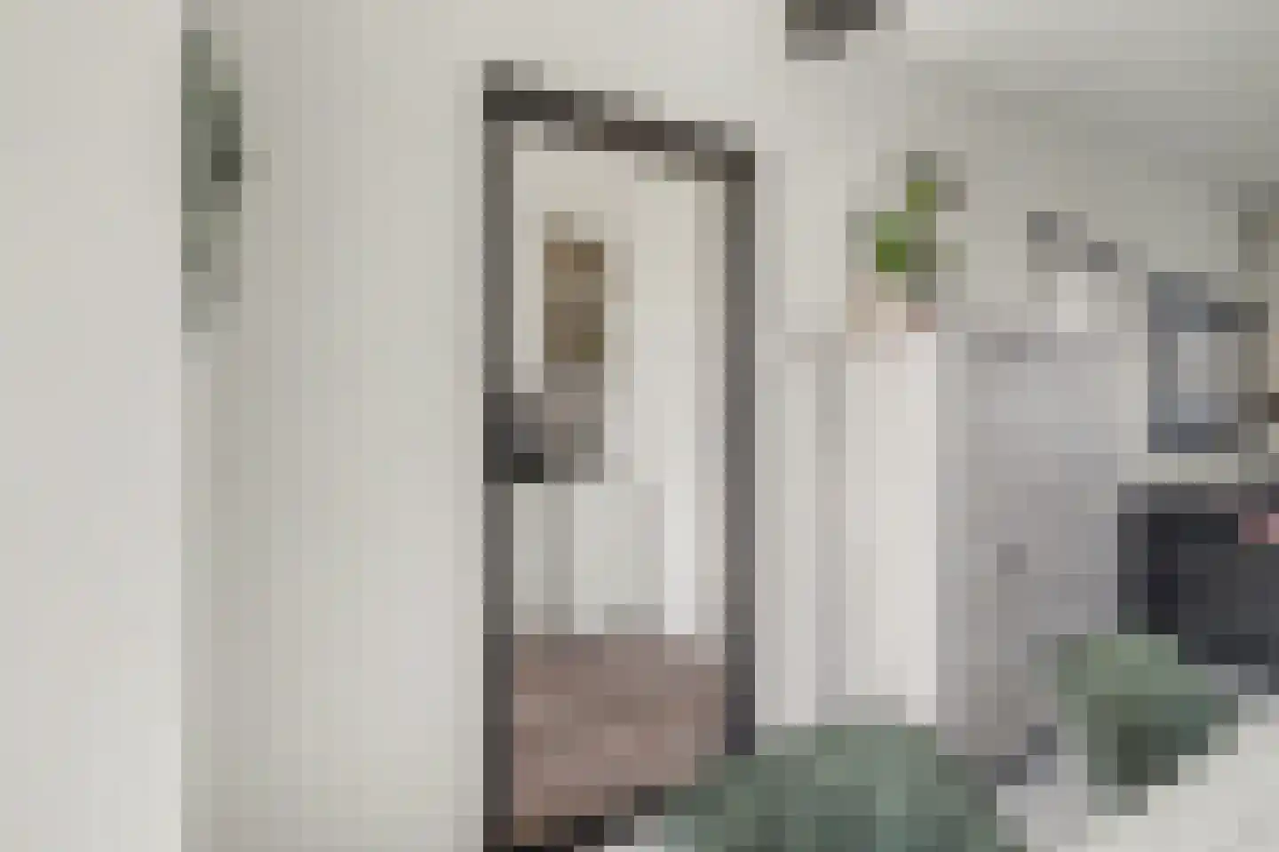 Vondelstraat 20 Vlijmen thumbnail 6