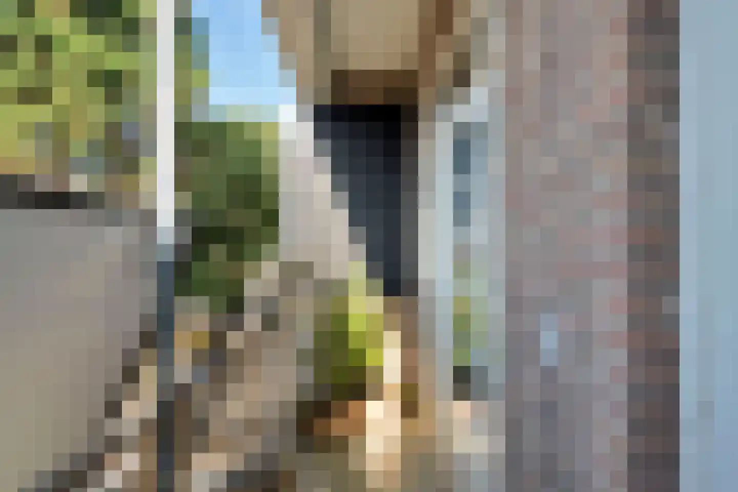 Vondelstraat 204 Den Haag thumbnail 11