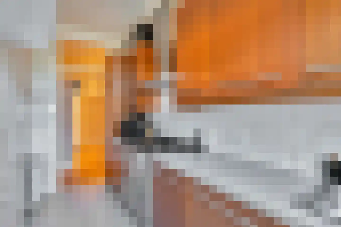 Vondelstraat 204 Den Haag thumbnail 13