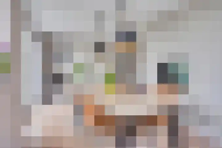 Vondelstraat 21 Nuenen thumbnail 13