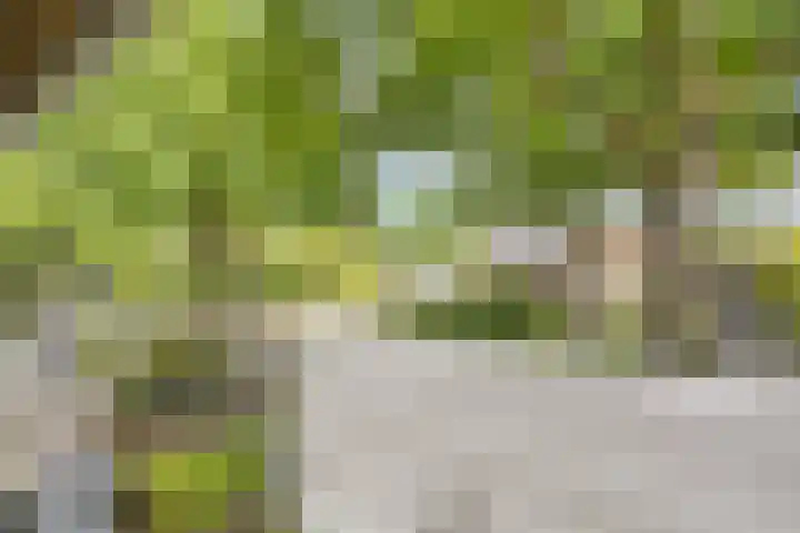 Vondelstraat 21 Nuenen thumbnail 21