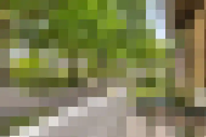 Vondelstraat 21 Nuenen thumbnail 22
