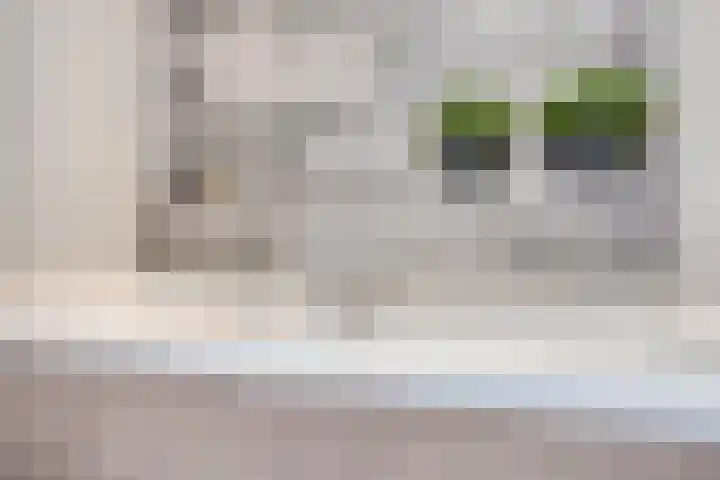 Vondelstraat 21 Nuenen thumbnail 29