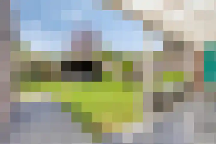 Vondelstraat 21 Nuenen thumbnail 30