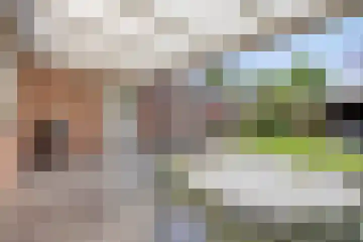 Vondelstraat 21 Nuenen thumbnail 34