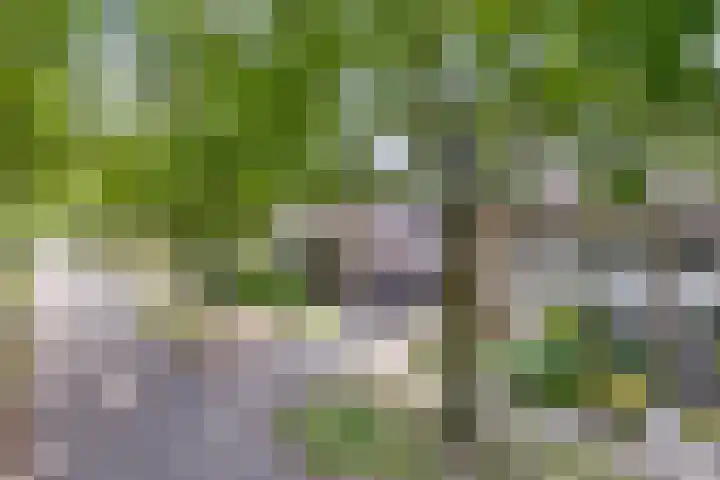 Vondelstraat 21 Nuenen thumbnail 37