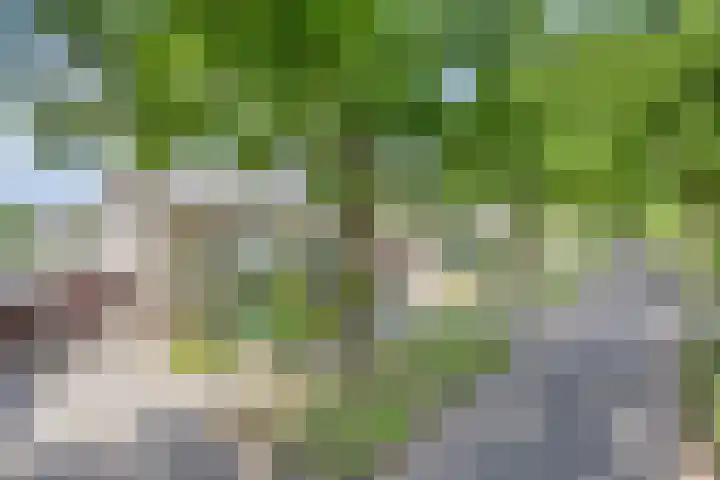 Vondelstraat 21 Nuenen thumbnail 38