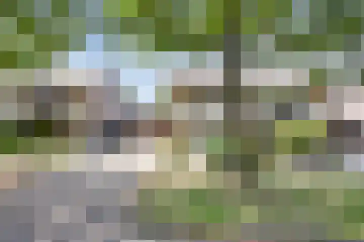 Vondelstraat 21 Nuenen thumbnail 39
