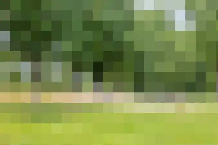 Vondelstraat 21 Nuenen thumbnail 40