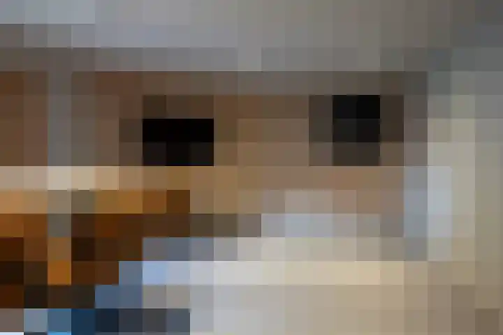 Vondelstraat 21 Putten thumbnail 32