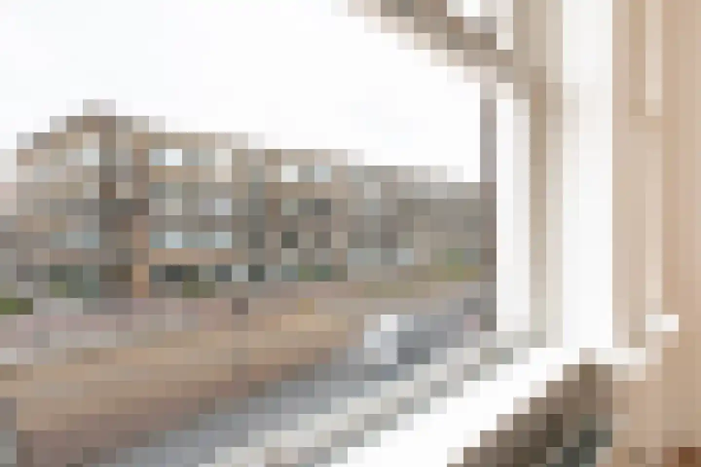 Vondelstraat 220 Den Haag thumbnail 15