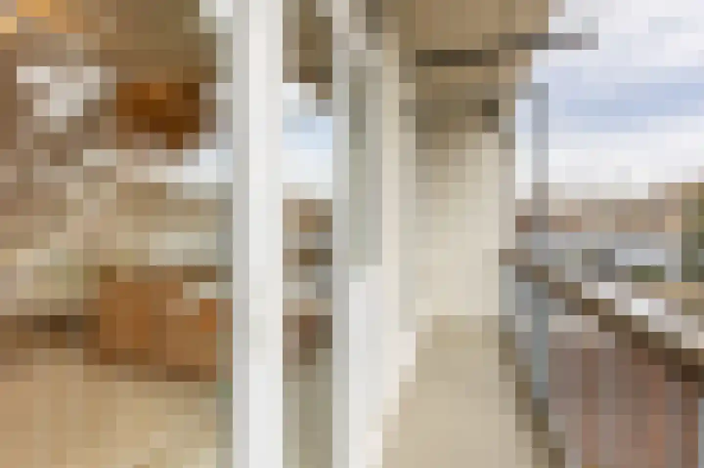 Vondelstraat 220 Den Haag thumbnail 9