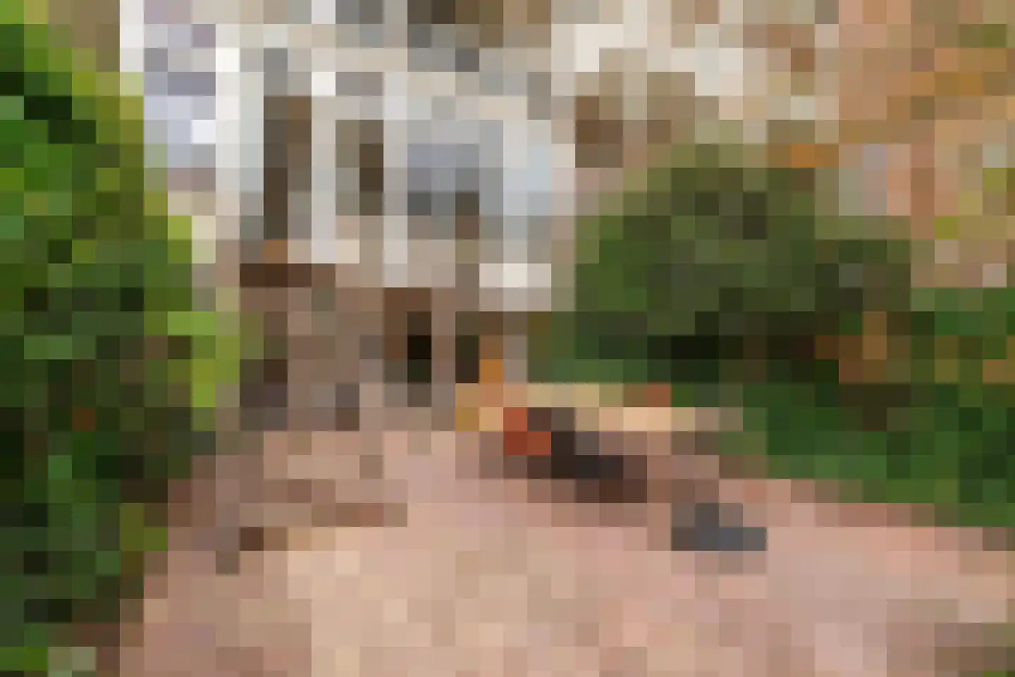 Vondelstraat 23 A Amsterdam thumbnail 45