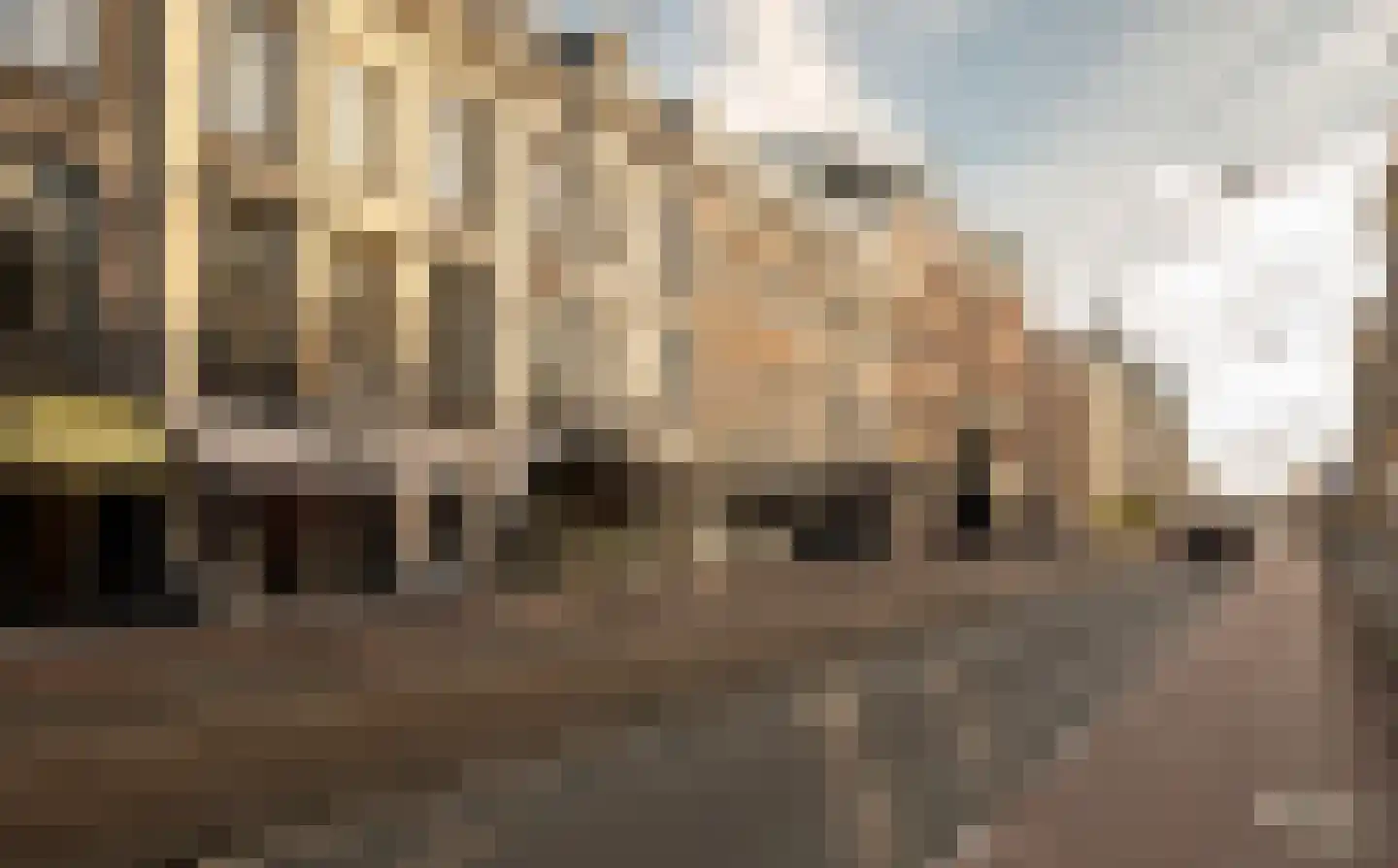 Vondelstraat 23 A Amsterdam thumbnail 59