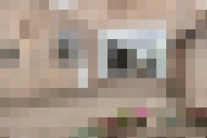 Vondelstraat 23 Waalwijk thumbnail 32