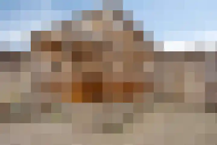 Vondelstraat 23 Waalwijk thumbnail 33