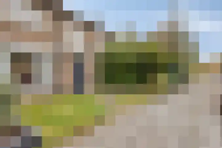 Vondelstraat 23 Waalwijk thumbnail 37