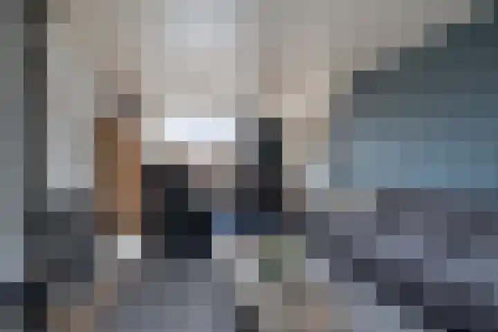 Vondelstraat 23 Waalwijk thumbnail 9