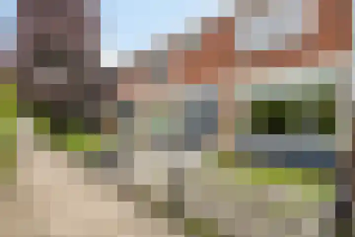 Vondelstraat 25 Hendrik-Ido-Ambacht thumbnail 6