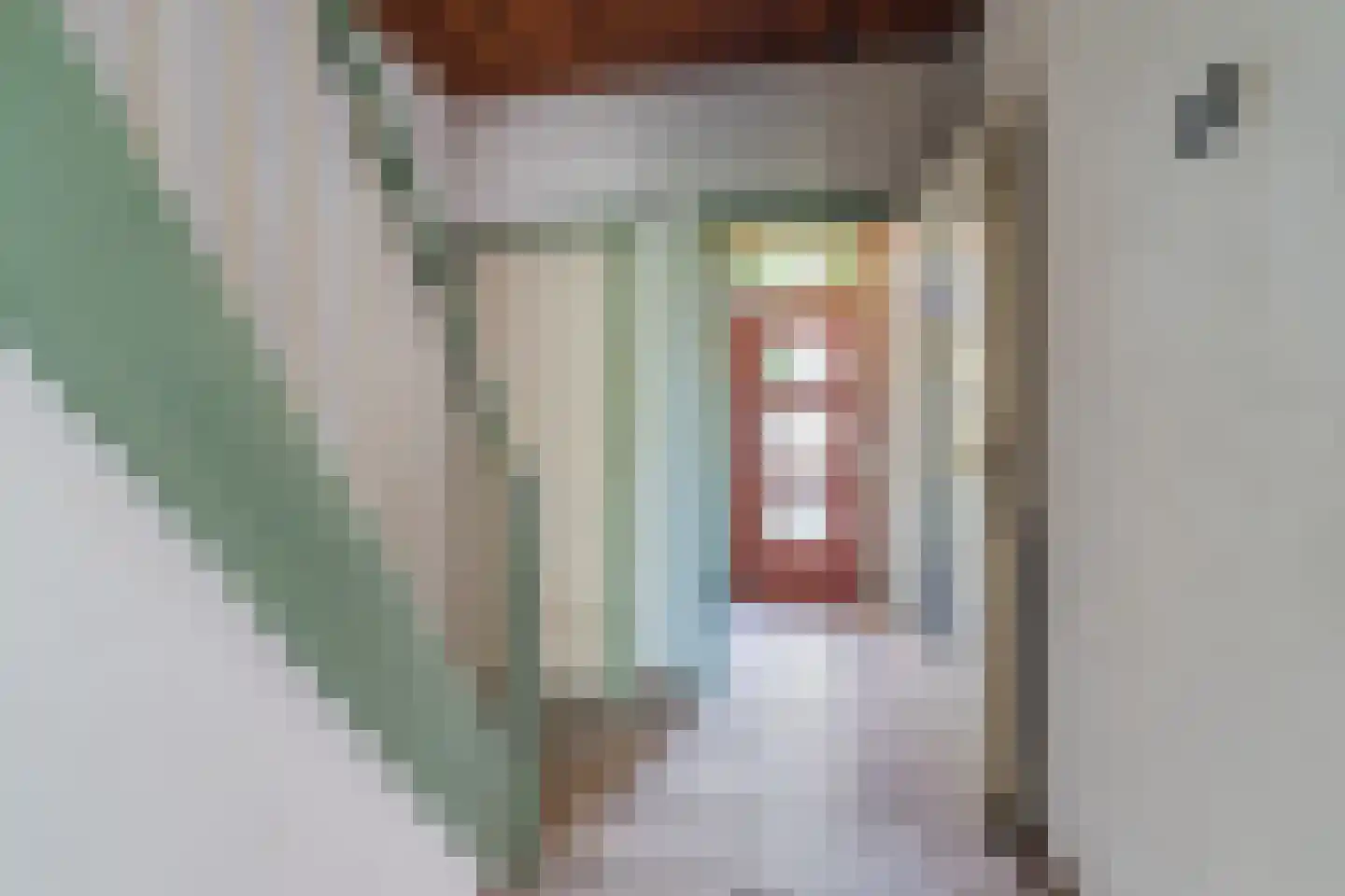 Vondelstraat 25 Waalwijk thumbnail 17