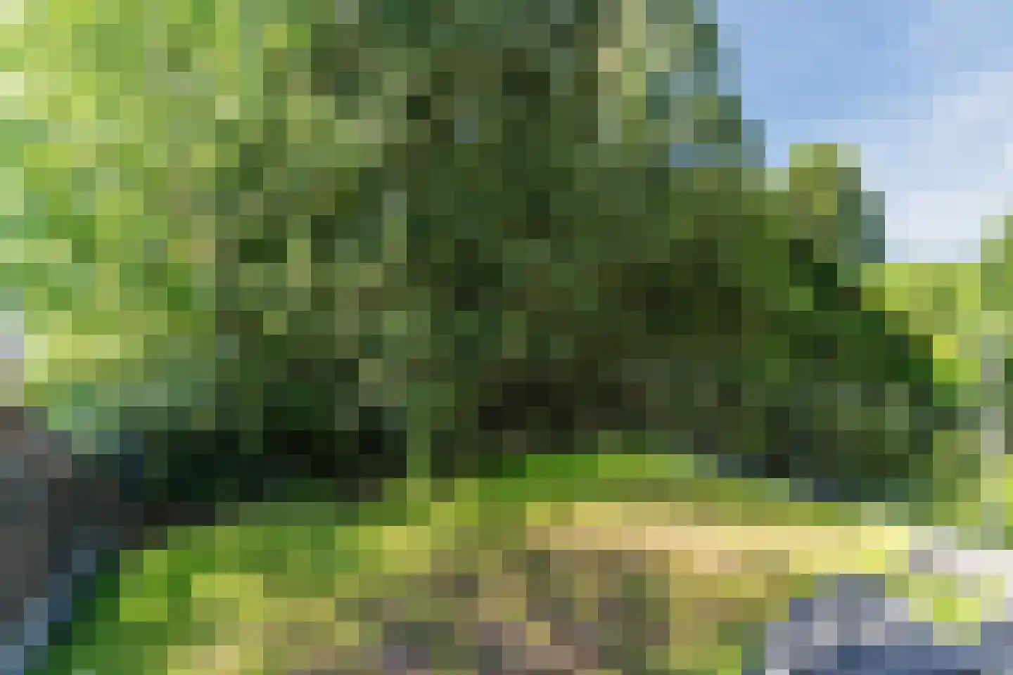 Vondelstraat 25 Waalwijk thumbnail 32