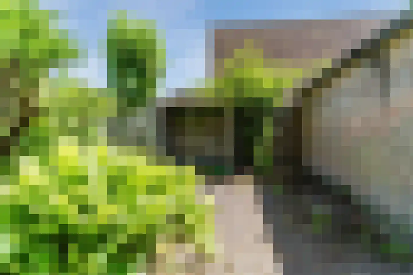 Vondelstraat 25 Waalwijk thumbnail 34