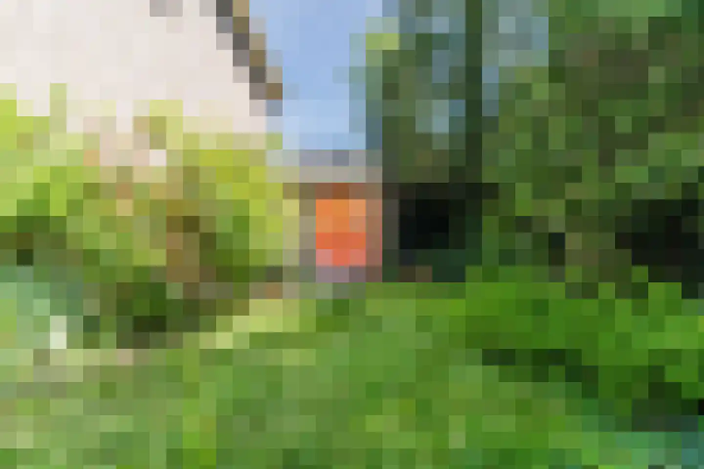 Vondelstraat 25 Waalwijk thumbnail 37