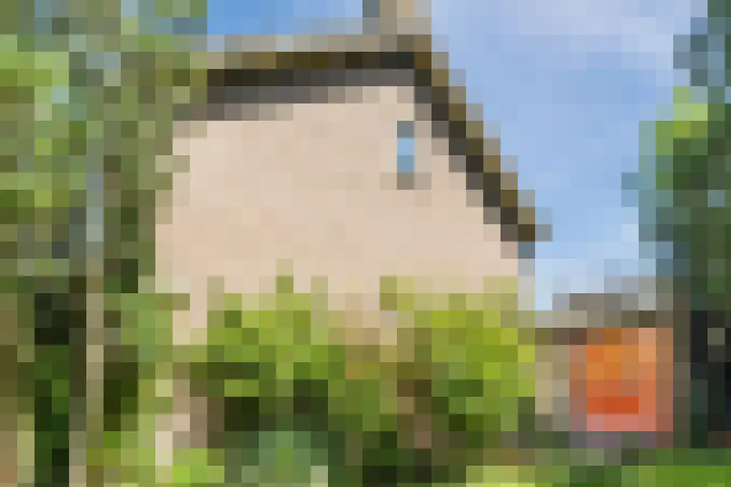 Vondelstraat 25 Waalwijk thumbnail 39