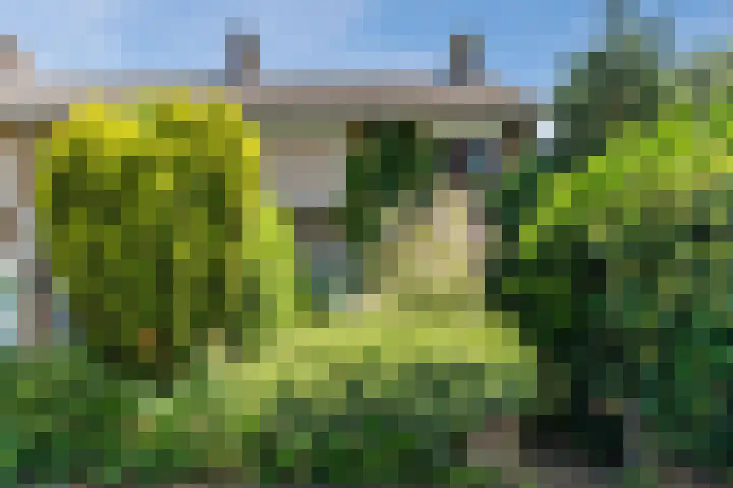 Vondelstraat 25 Waalwijk thumbnail 43