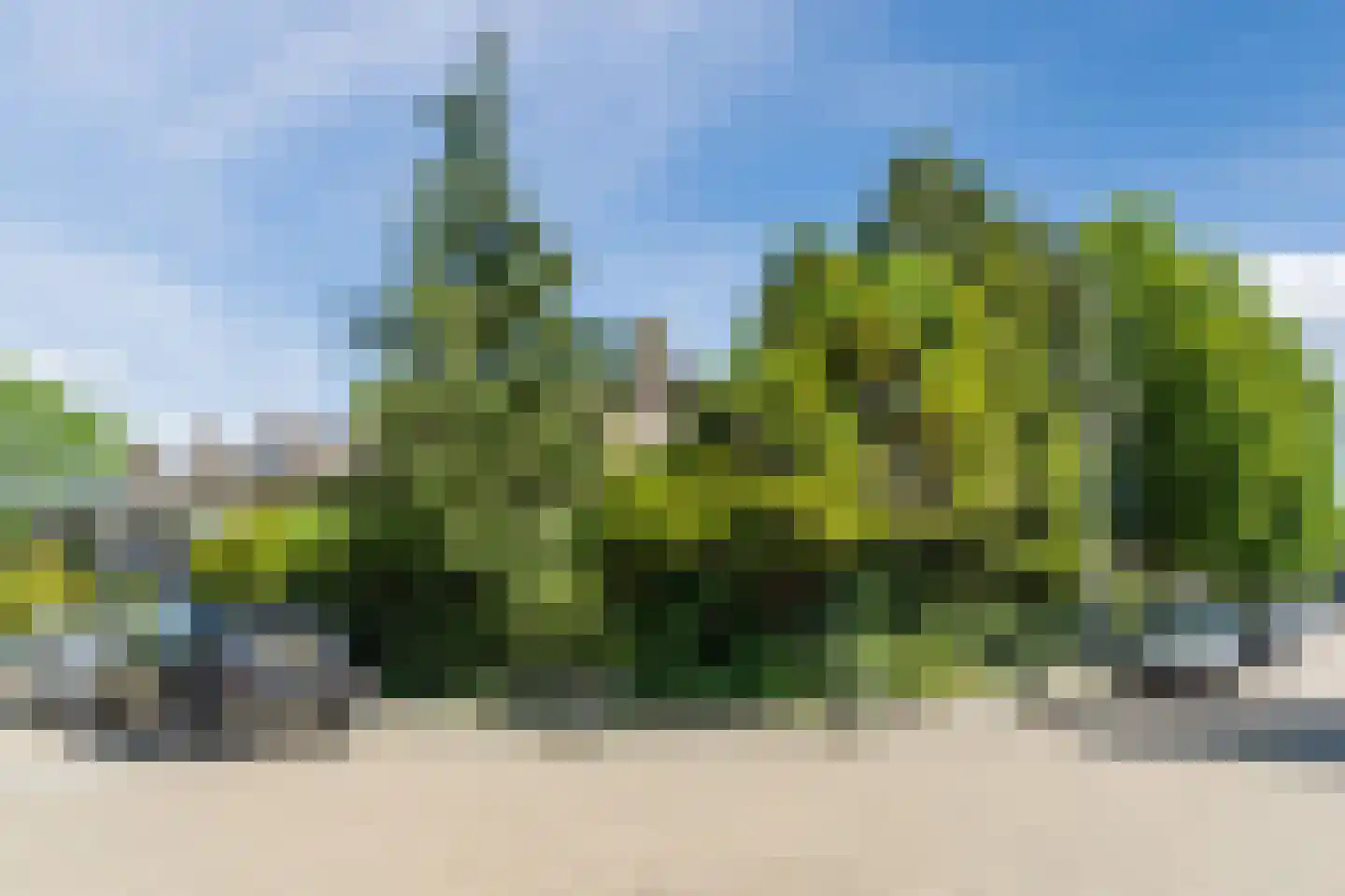 Vondelstraat 25 Waalwijk thumbnail 44