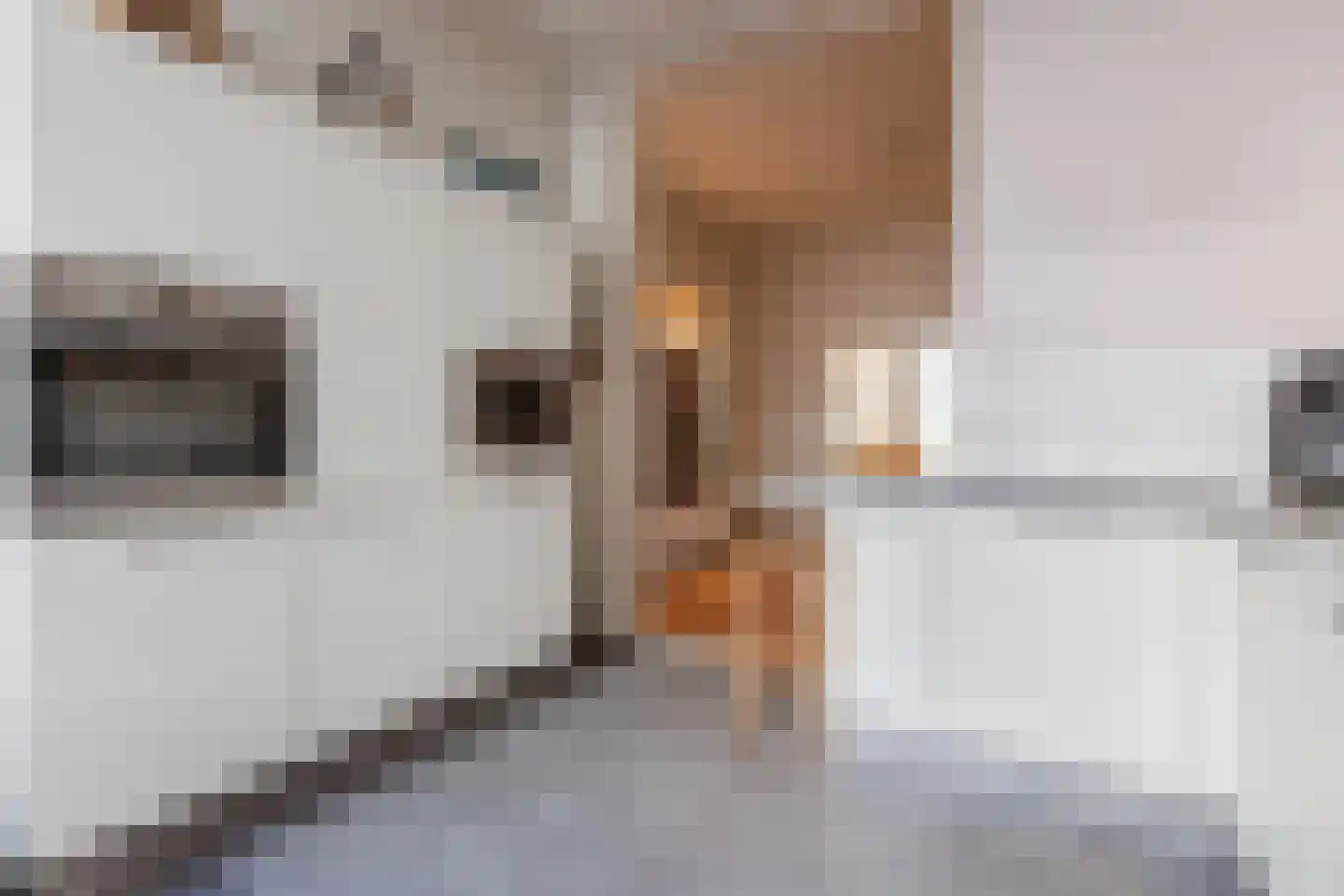 Vondelstraat 26 Nijmegen thumbnail 13