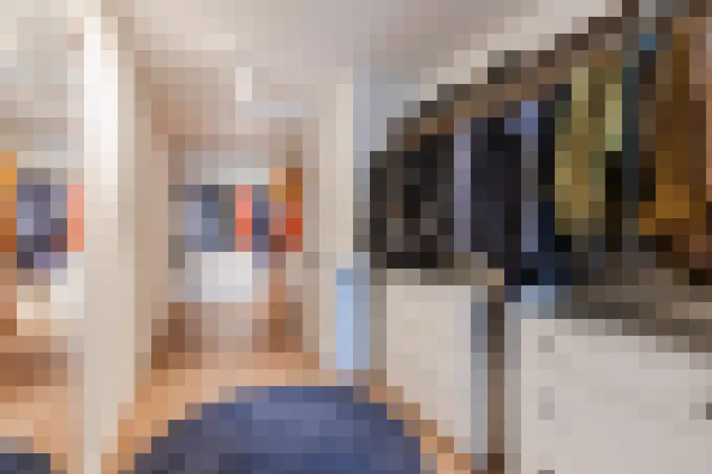 Vondelstraat 26 Nijmegen thumbnail 32