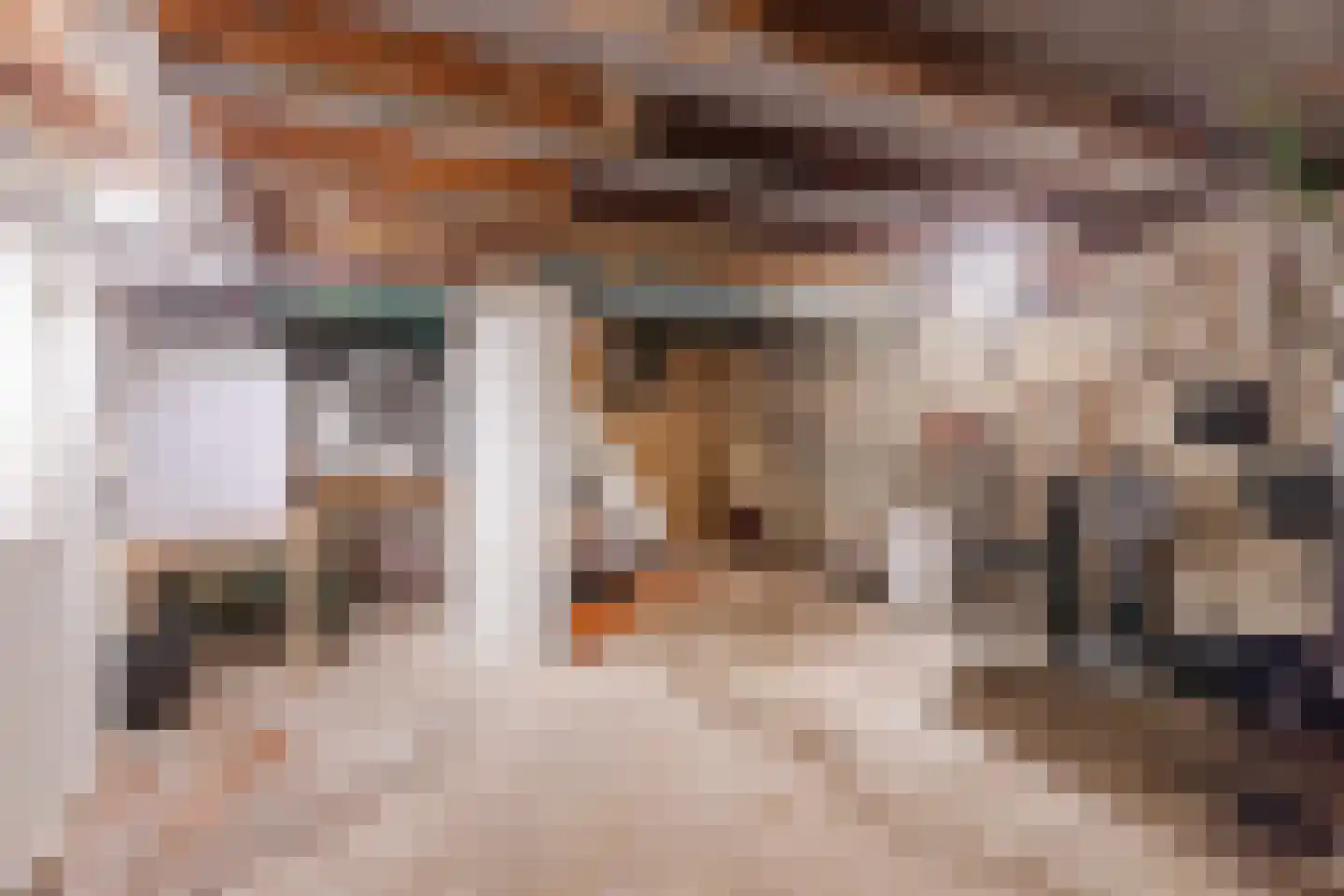 Vondelstraat 26 Nijmegen thumbnail 38