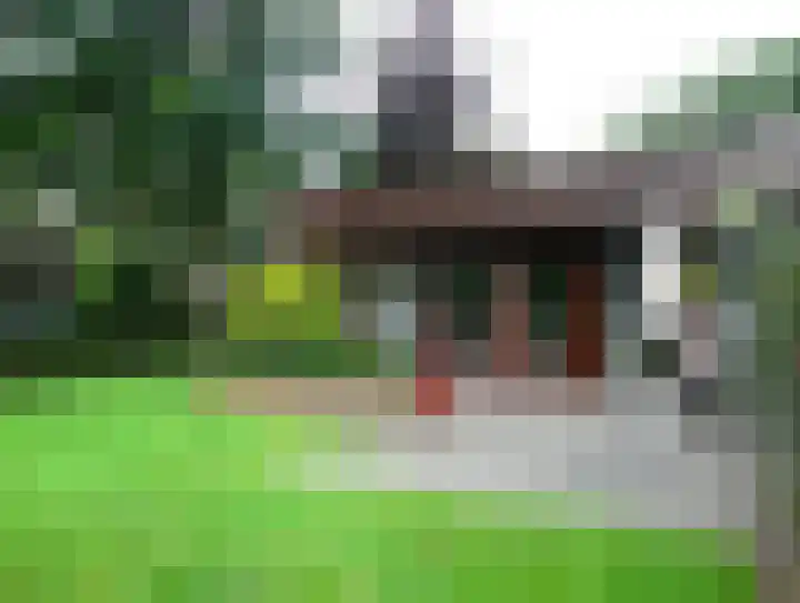 Vondelstraat 26 Nuenen thumbnail 17