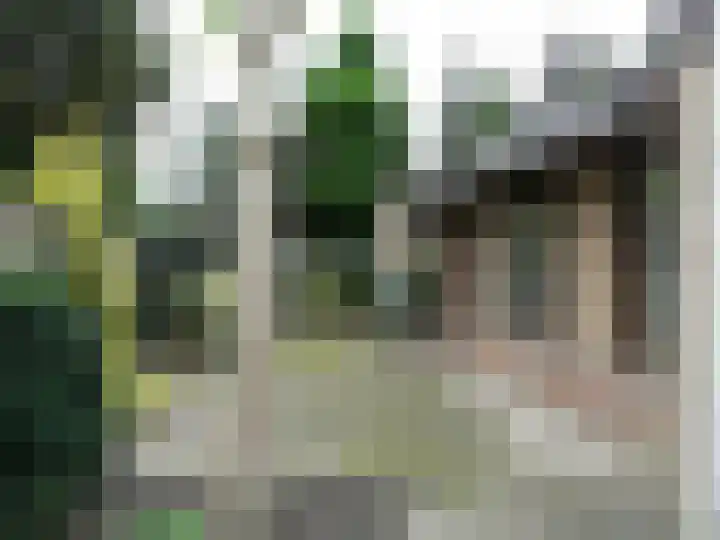 Vondelstraat 26 Nuenen thumbnail 20