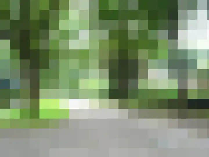 Vondelstraat 26 Nuenen thumbnail 23
