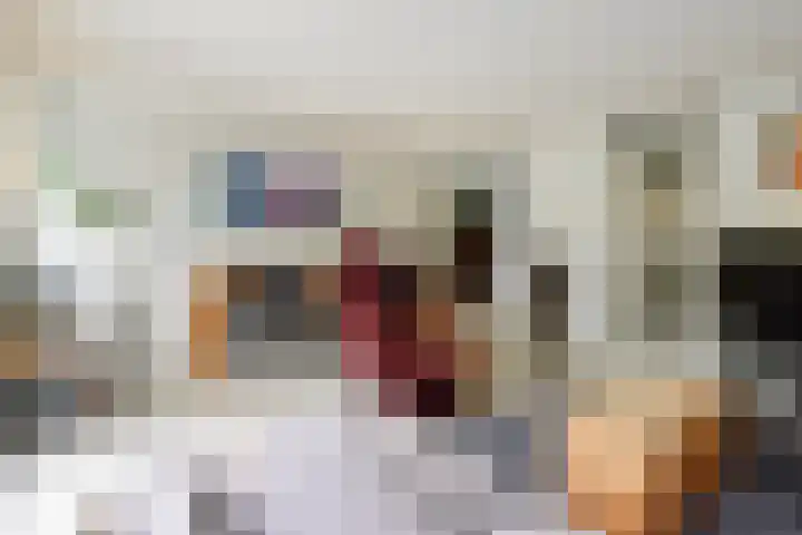 Vondelstraat 28 Bergschenhoek thumbnail 12